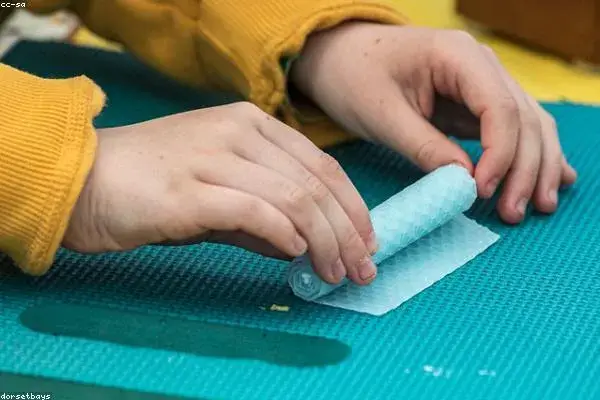 Сельское и лесное хозяйство