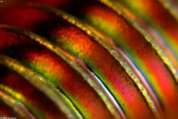 Ходовые винты